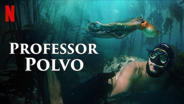 Professor Polvo: a importância de se entregar aos processos (resenha)