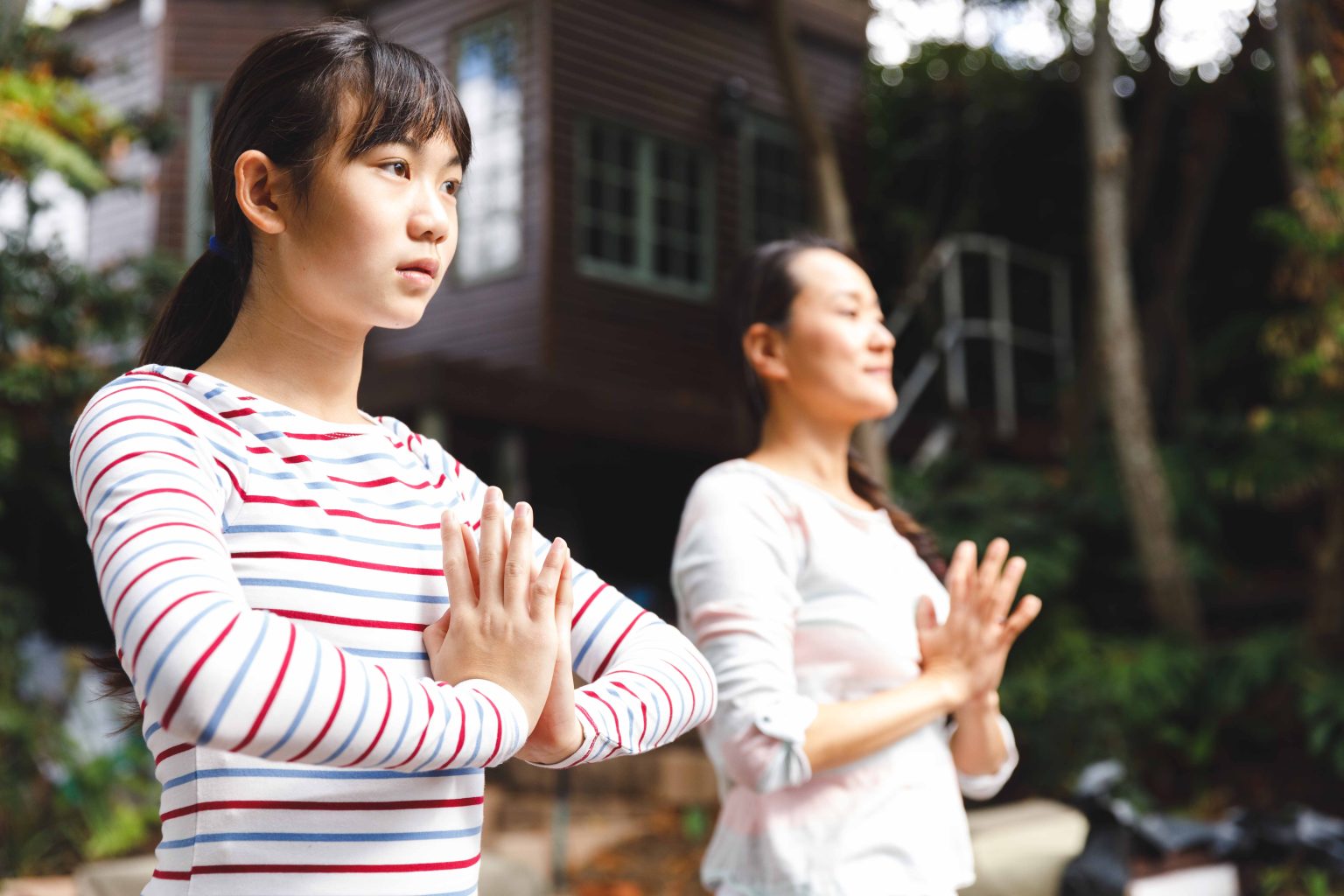 Conhe A Diferentes Tipos De Tai Chi Revista Meu Retiro