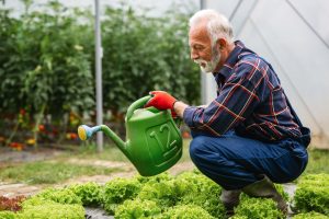 O que são alimentos orgânicos e quais seus benefícios?