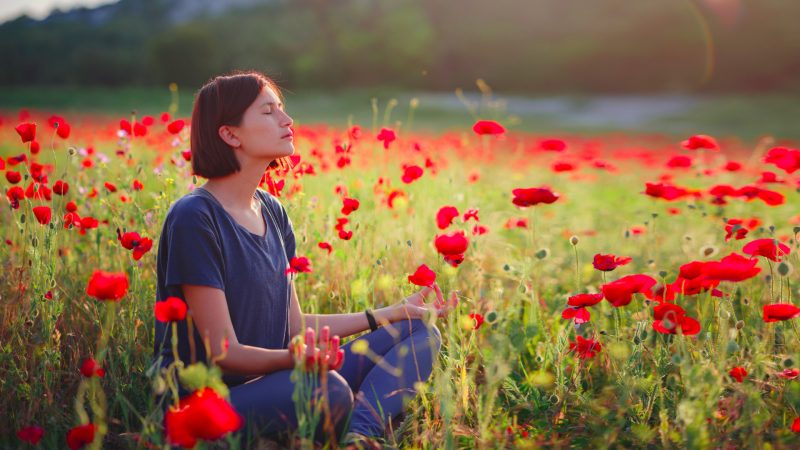 A Relação entre ThetaHealing, Manifestação e Abundância