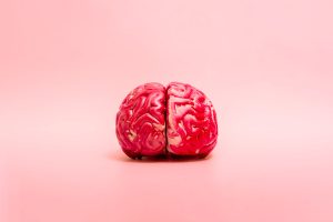 Brain Gym: o que é, como funciona e quais os benefícios da ginástica cerebral