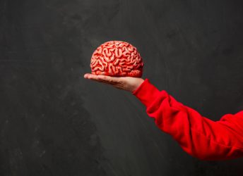 Brain Gym: o que é, como funciona e quais os benefícios da ginástica cerebral