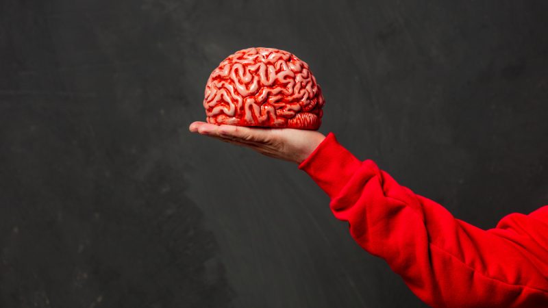 Brain Gym: o que é, como funciona e quais os benefícios da ginástica cerebral