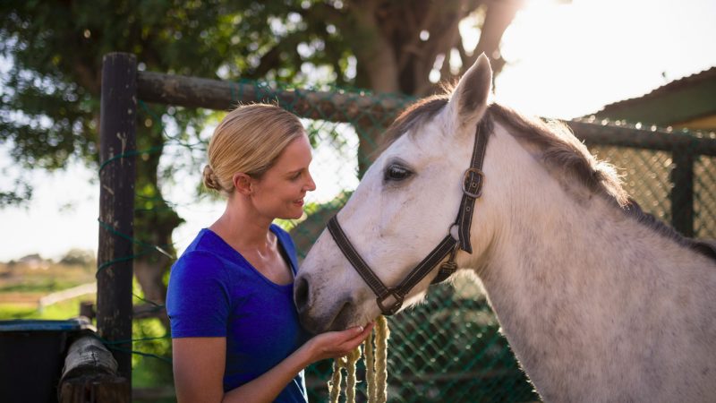 Constelação Familiar com Cavalos: cura e reconexão através da sabedoria animal