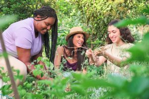 Fitoterapia e autocuidado feminino: o poder das plantas na saúde da mulher